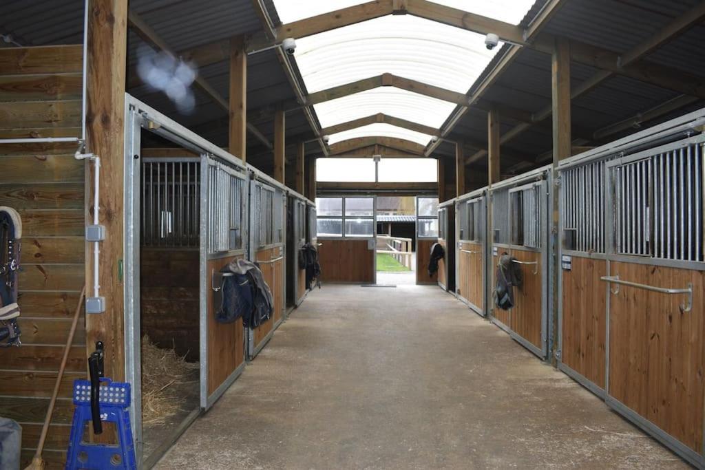 Haras De Connincthun Villa Beuvrequen Bagian luar foto